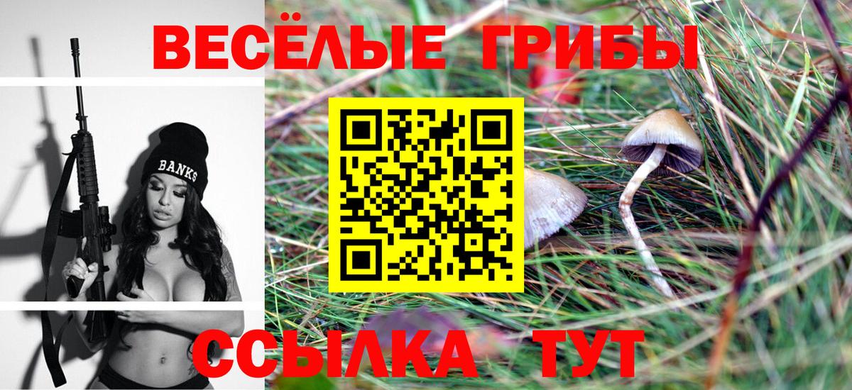 Галлюциногенные грибы Psilocybine cubensis  Вход с VPN  Россия  Псилоцибиновые грибы прущие грибы 